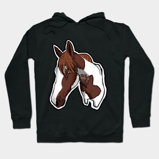 brown white horse Hoodie